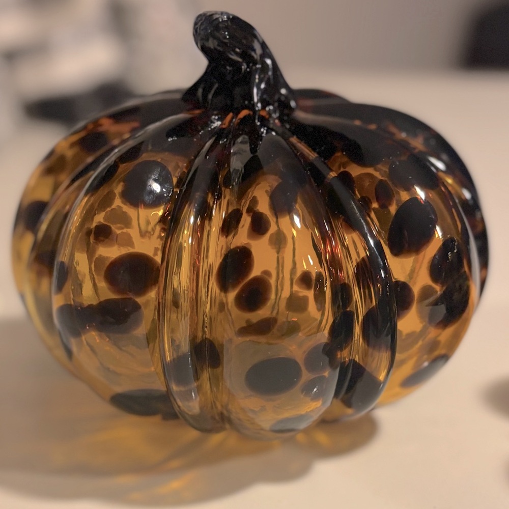 Z Gallerie Tortoise Pumpkin #2